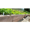 Betónová zeleninová záhradka 205x105x50 Vyvýšené betónové záhony (Betónová zeleninová záhradka 205x105x50 Vyvýšené betónové záhony) Betónová zeleninová záhradka 205x105x50 Vyvýšené betónové záhony (Betónová zeleninová záhradka 205x105x50 Vyvýšené betónové záhony)