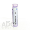 RHUS TOXICODENDRON GRA HOM CH30 1x4 g RHUS TOXICODENDRON GRA HOM CH30 1x4 g