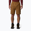 Pánske šortky The North Face Limestone utility brown Pánske šortky The North Face Limestone utility brown