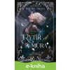 E-kniha Rytíř a můra - Rachel Gillig E-kniha Rytíř a můra - Rachel Gillig
