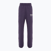 Dámske nohavice Nike Sportswear Fleece dark raisin Dámske nohavice Nike Sportswear Fleece dark raisin