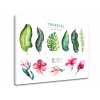 Obraz na stenu s textom Tropical set flamingo (moderné obrazy s textom) Obraz na stenu s textom Tropical set flamingo (moderné obrazy s textom)