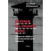 Jedna dlouhá noc - Pitzerová Andrea Jedna dlouhá noc - Pitzerová Andrea