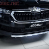 Milotec ochranná lišta předního nárazníku - stříbrný matný Škoda Kodiaq Facelift -- od roku výroby 07/2021- SLEVA 2% Milotec ochranná lišta předního nárazníku - stříbrný matný Škoda Kodiaq Facelift -- od roku výroby 07/2021- SLEVA 2%