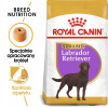 Royal Canin Sterilised Labrador Retriever 12 kg Royal Canin Sterilised Labrador Retriever 12 kg