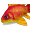 Gaby vankúš Závojnatka (Zlatá rybka) 60 cm (GP-175822) Gaby vankúš Závojnatka (Zlatá rybka) 60 cm (GP-175822)