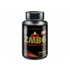 X-treme ZMB6 120 tablet (Inkospor - Německo) M022-054 X-treme ZMB6 120 tablet (Inkospor - Německo) M022-054