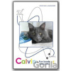 Calvin´s Fun book - Zábavná kniha 1 Calvin´s Fun book - Zábavná kniha 1