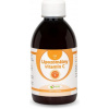 Natural Pharm Lipozomálny Vitamín C 250 ml Natural Pharm Lipozomálny Vitamín C 250 ml