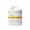 Milk Shake COLOR CARE MASKA na farbené vlasy 500ml Milk Shake COLOR CARE MASKA na farbené vlasy 500ml