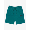 Quiksilver Dětské kraťasy Quiksilver, Easy Day teal green 2025 Velikost: XL Quiksilver Dětské kraťasy Quiksilver, Easy Day teal green 2025 Velikost: XL