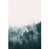 Plagát, Obraz - Fog and forest, Sisi & Seb, 26.7 × 40 cm Plagát, Obraz - Fog and forest, Sisi & Seb, 26.7 × 40 cm