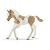 Zvířátko - Hříbě plemene Paint Horse Zvířátko - Hříbě plemene Paint Horse