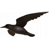 Veľká vrana vo letovom repelei Bird 60 cm (Veľká vrana vo letovom repelei Bird 60 cm) Veľká vrana vo letovom repelei Bird 60 cm (Veľká vrana vo letovom repelei Bird 60 cm)