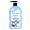 Tekuté mydlo antibakteriálne aloe vera Naturaphy 1000ml 12335 Tekuté mydlo antibakteriálne aloe vera Naturaphy 1000ml 12335