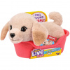 Moose Toys Little Live Pets My Really Real Puppy Mini's - Golden Retriever Buddy (MS26650) Moose Toys Little Live Pets My Really Real Puppy Mini's - Golden Retriever Buddy (MS26650)