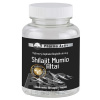 ADITIVA CZ, s.r.o. Pharma Activ Shilajit Mumio Altai cps (inov.2020) 1x60 ks ADITIVA CZ, s.r.o. Pharma Activ Shilajit Mumio Altai cps (inov.2020) 1x60 ks