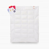 Perina, paplón - AMZ Szamotuły paplón 200 x 135 cm (All -Year Quilt Natural Outlast 135x200 cm AMZ) Perina, paplón - AMZ Szamotuły paplón 200 x 135 cm (All -Year Quilt Natural Outlast 135x200 cm AMZ)
