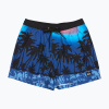 Pánske plavecké šortky Quiksilver Everyday Printed Volley 15 Pánske plavecké šortky Quiksilver Everyday Printed Volley 15