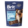 Brit Premium Dog by Nature S/M Snacks Lamb 180g Brit Premium Dog by Nature S/M Snacks Lamb 180g