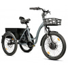Leader fox CARGO - TRICYCLE CURTIS, FRONT MOTOR, GREY MATT Leader fox CARGO - TRICYCLE CURTIS, FRONT MOTOR, GREY MATT