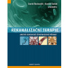 Rekanalizační terapie - Akutní ischemické cévní mozkové příhody - a kolektiv David Školoudík Rekanalizační terapie - Akutní ischemické cévní mozkové příhody - a kolektiv David Školoudík