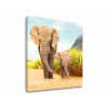 Obraz na stenu ZVIERATÁ_049-12 (moderné obrazy na plátne) Obraz na stenu ZVIERATÁ_049-12 (moderné obrazy na plátne)