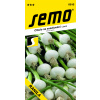 Cibuľa jarná Ranila 1.5g SEMO Cibuľa jarná Ranila 1.5g SEMO