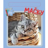 Mačky - autor neuvedený Mačky - autor neuvedený