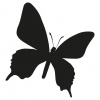 Motýľ - samolepiaca dekoračná nálepka 40x40cm Motýľ - samolepiaca dekoračná nálepka 40x40cm