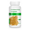 Purasana Senovka grécka BIO 120 kaps. Purasana Senovka grécka BIO 120 kaps.