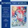 CD - Yehuda, Guy - Between Two Worlds CD - Yehuda, Guy - Between Two Worlds