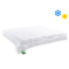 Brotex Francúzska prikrývka Aloe Vera celoročná 200x200cm 1200g Brotex Francúzska prikrývka Aloe Vera celoročná 200x200cm 1200g