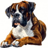 Norimpex diamantové malování Boxer 30 x 40cm Norimpex diamantové malování Boxer 30 x 40cm