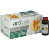 Artilane ARTILANE®- komplexná kĺbová výživa s kolagénom a kyselinou hyalurónovou 15 × 30 ml pitných ampuliek Artilane ARTILANE®- komplexná kĺbová výživa s kolagénom a kyselinou hyalurónovou 15 × 30 ml pitných ampuliek