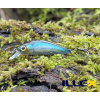Wobler ILLEX Chubby Minnow 35 SP - NF Ablette Wobler ILLEX Chubby Minnow 35 SP - NF Ablette