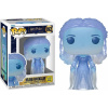 Funko Pop! 192 Harry Potter Helena Ravenclaw GITD Funko Pop! 192 Harry Potter Helena Ravenclaw GITD