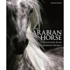 The Arabian Horse The Arabian Horse