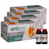 Artilane ARTILANE® – komplexná kĺbová výživa s kolagénom a kyselinou hyalurónovou - ŠTVORBALENIE Artilane ARTILANE® – komplexná kĺbová výživa s kolagénom a kyselinou hyalurónovou - ŠTVORBALENIE