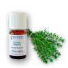 ARTTEC prírodný vonný olej Tymián thujanol de Provence 5 ml NAT00027 ARTTEC prírodný vonný olej Tymián thujanol de Provence 5 ml NAT00027