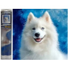 Norimpex diamantové maľovanie Samojed 30 x 40cm Norimpex diamantové maľovanie Samojed 30 x 40cm