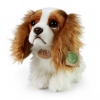 Eco Fiendly Rappa pes King Charles španiel 25 cm Eco Fiendly Rappa pes King Charles španiel 25 cm