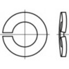 TOOLCRAFT 105828 pérová podložka Vnútorný Ø: 10.2 mm DIN 128 pružinová ocel pozinkované 100 ks; 105828 TOOLCRAFT 105828 pérová podložka Vnútorný Ø: 10.2 mm DIN 128 pružinová ocel pozinkované 100 ks; 105828