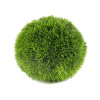 Grass ball 23 cm Grass ball 23 cm