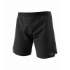 Pánske šortky DYNAFIT Alpine Shorts M Pánske šortky DYNAFIT Alpine Shorts M