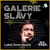 Galerie slávy - Luboš Xaver Veselý Galerie slávy - Luboš Xaver Veselý
