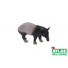 Atlas Figurka Tapír 10,5 cm WKW101911 Atlas Figurka Tapír 10,5 cm WKW101911