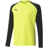 Puma teamPacer GK LS Jersey Jr 704939 42 goalkeeper sweatshirt (199202) Sky Blue 140cm Puma teamPacer GK LS Jersey Jr 704939 42 goalkeeper sweatshirt (199202) Sky Blue 140cm