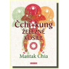Čchi Kung Železné košile - Chia Mantak Čchi Kung Železné košile - Chia Mantak