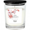 BISPOL-AURA Vonná sviečka Spa Garden - sklo 260g BISPOL-AURA Vonná sviečka Spa Garden - sklo 260g